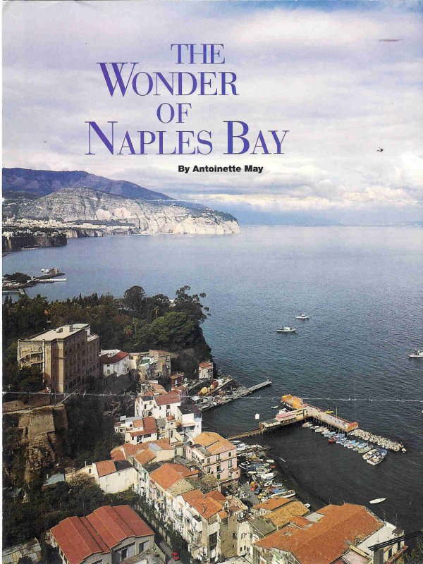 Wonder of Naples Bay, article
